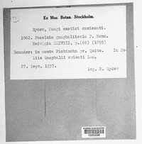 Image Associated With the Occurence